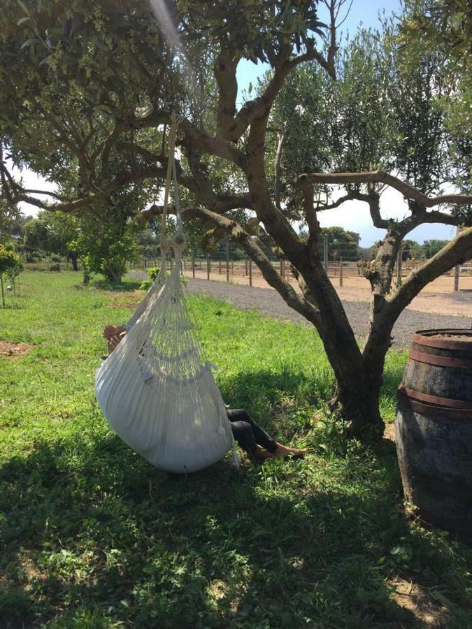 Apartamento En Casa De Campo Cerca De La Playa Pals Eksteriør bilde